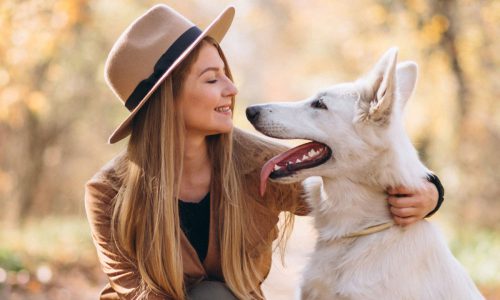 تصویر کوچک دوره